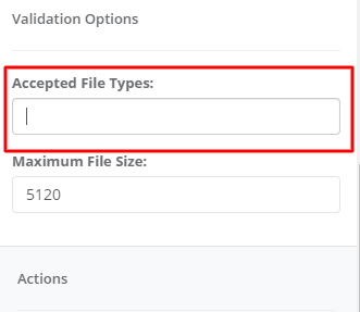 Accepted File Types interface screenshot 19 in File Upload