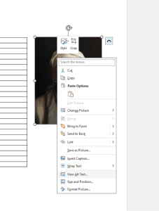 Inserting Dynamic Images Using URLs interface screenshot 27 in Print Process