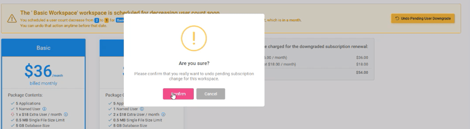 Workspaces 18 min: Undo Pending User Downgrade interface screenshot 9 in User Management in Workspaces