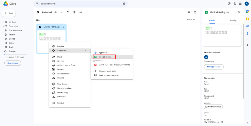 Update App GD 15: Updating SpreadsheetWeb Hub Applications with Google Drive interface screenshot 15